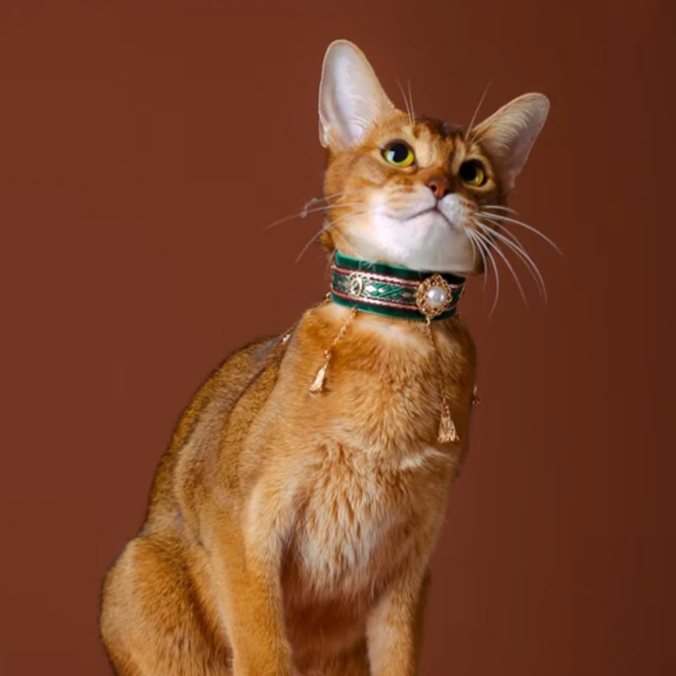 "Emerald Palace" Vintage Velvet Tassel Pet Collar
