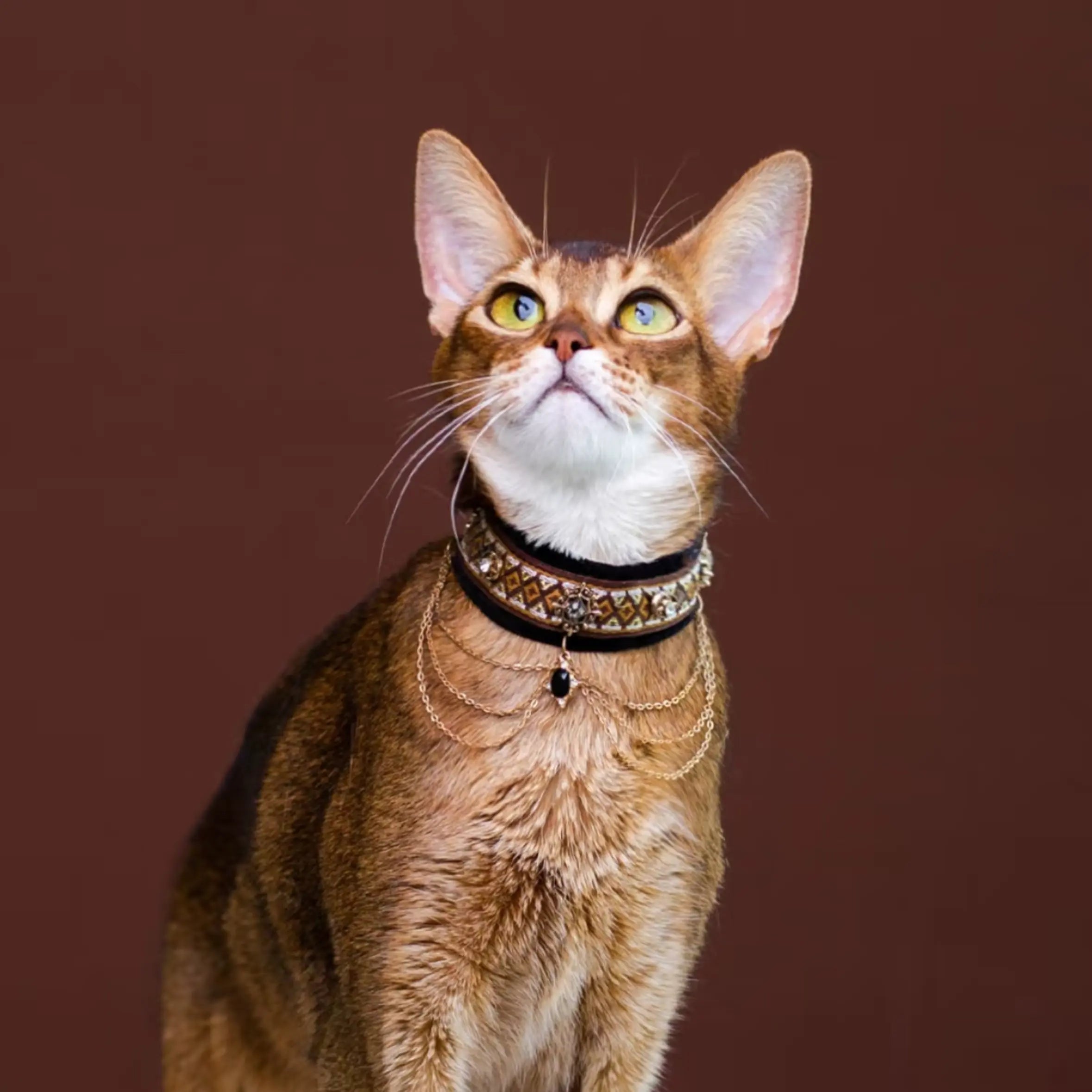 "Abyssinian Gold" Vintage Velvet Jewelry Collar