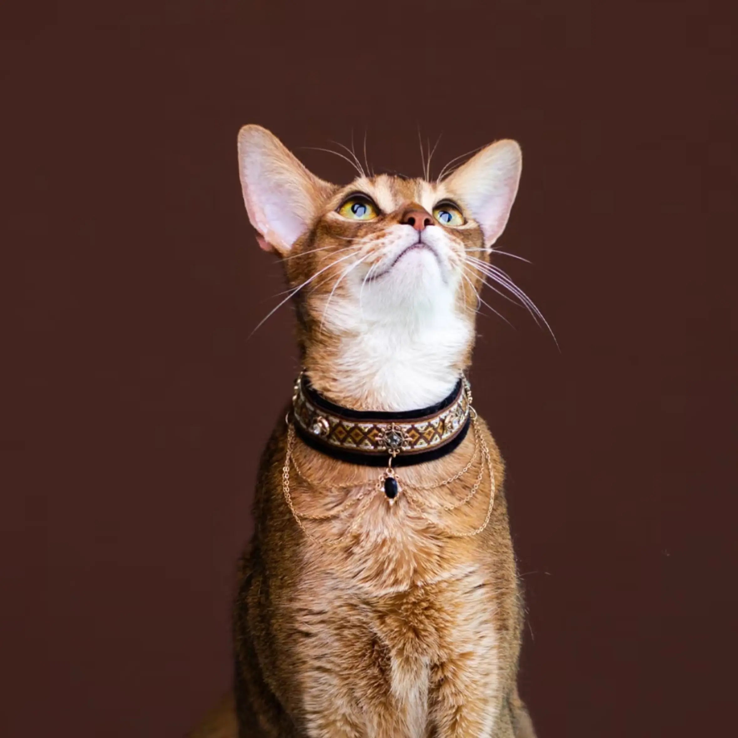 "Abyssinian Gold" Vintage Velvet Jewelry Collar