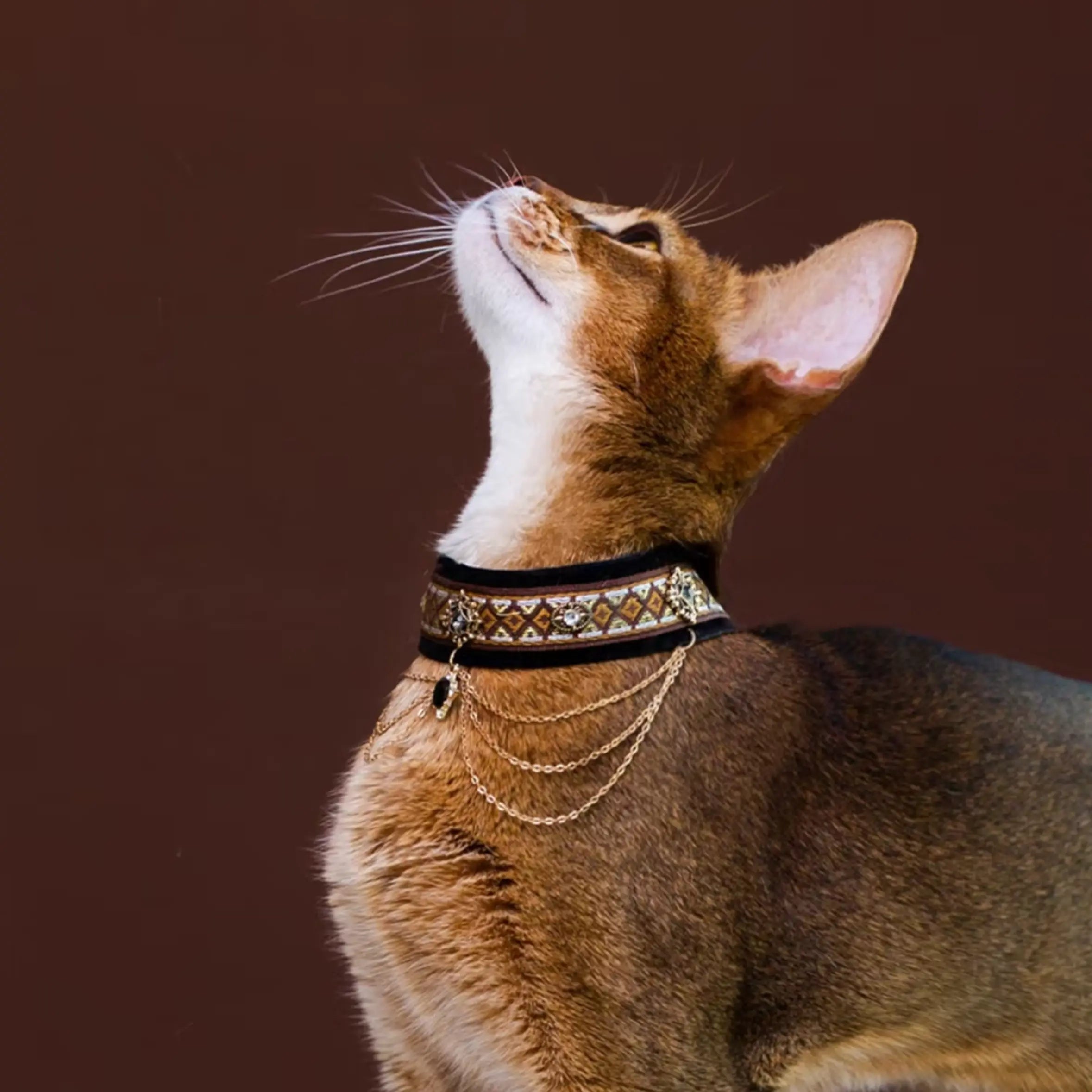 "Abyssinian Gold" Vintage Velvet Jewelry Collar
