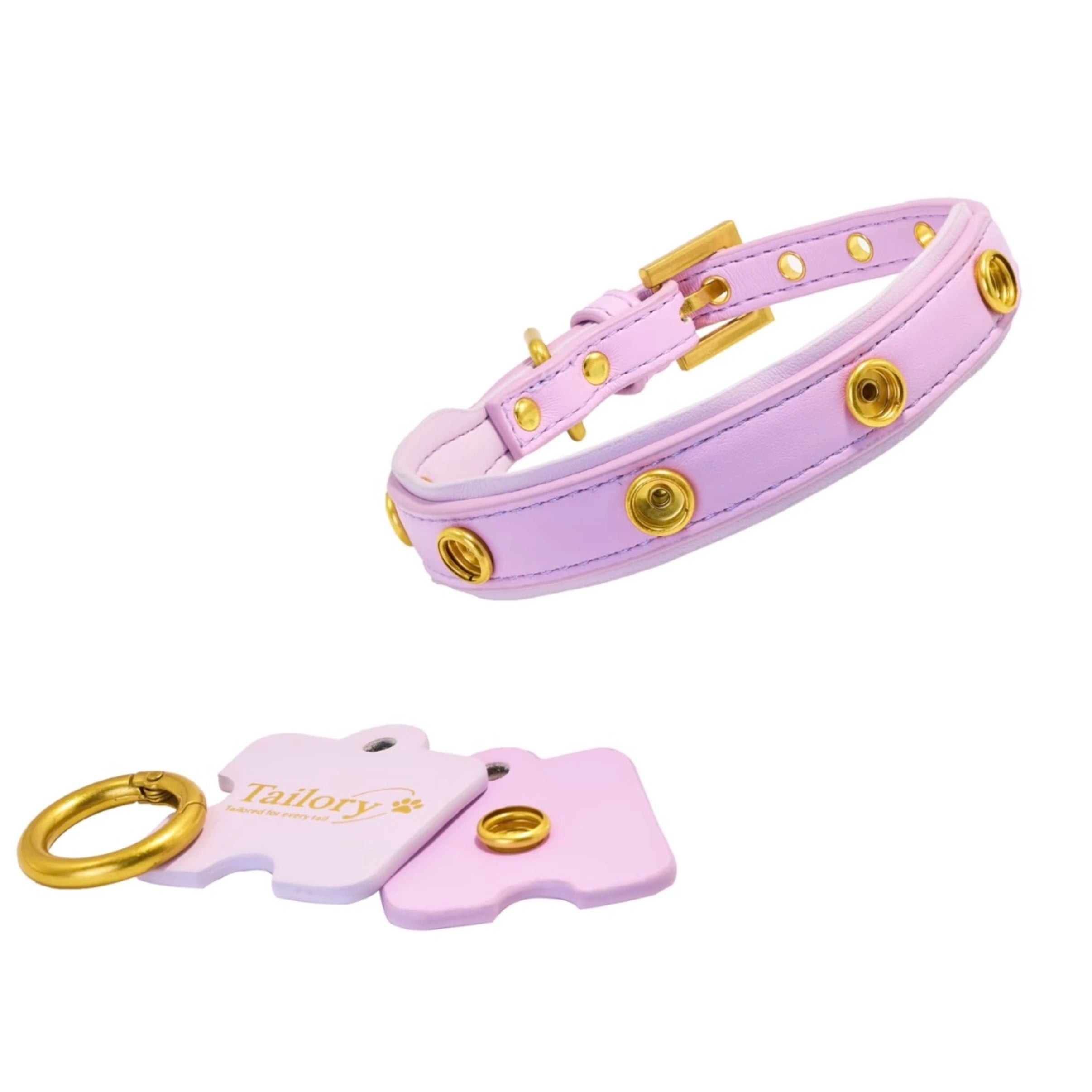 DIY Customizable Accessory Pet Collar