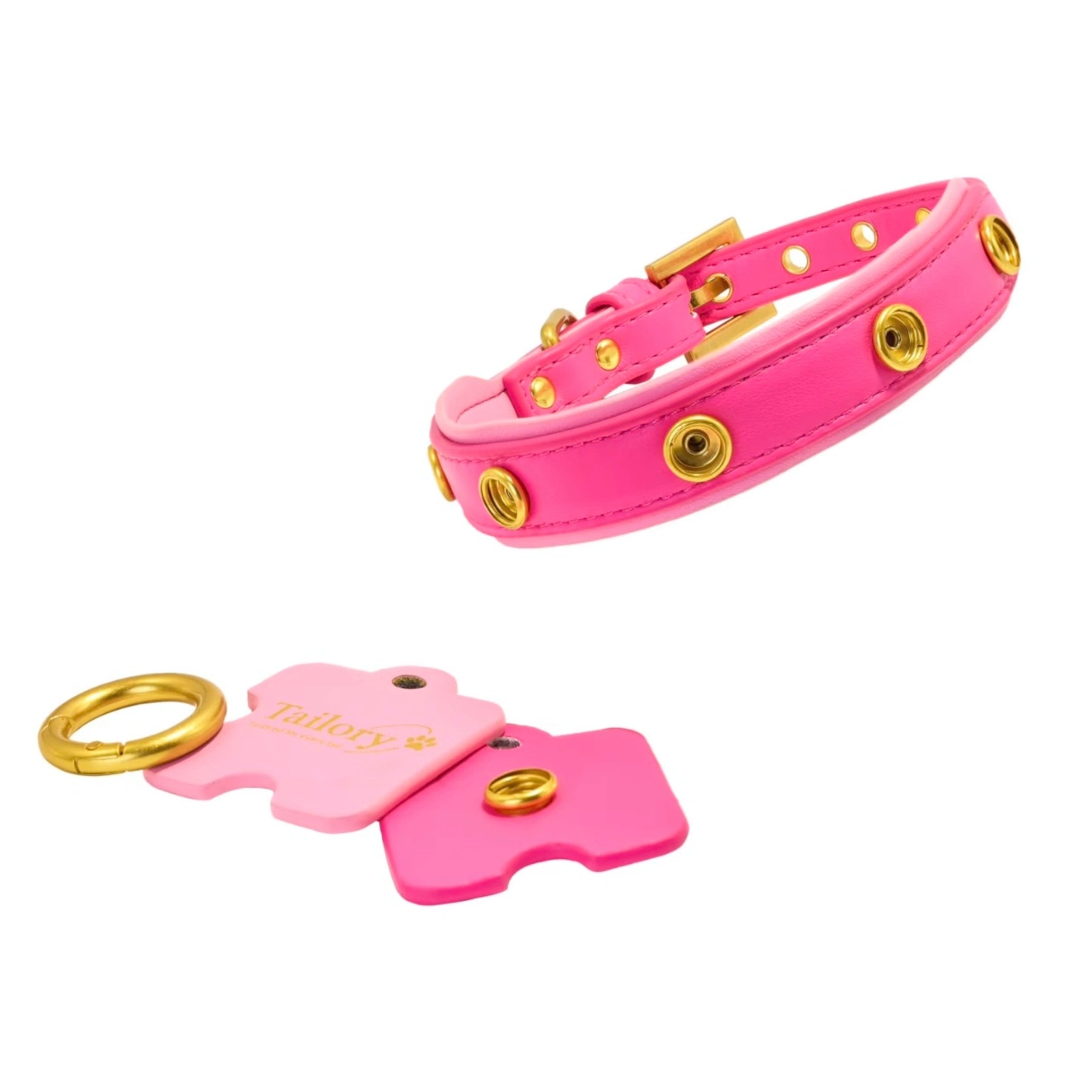 DIY Customizable Accessory Pet Collar