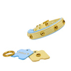 DIY Customizable Accessory Pet Collar