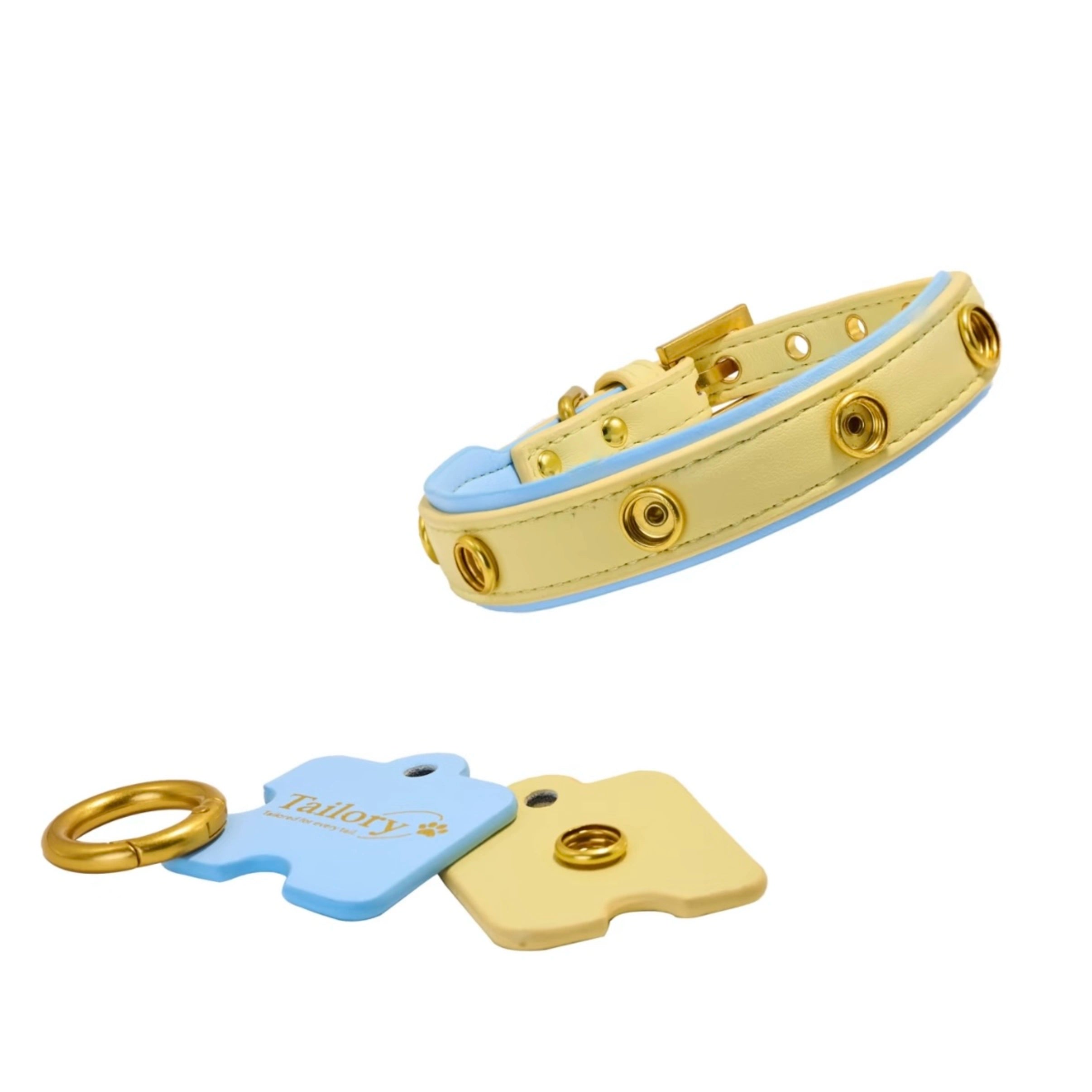 DIY Customizable Accessory Pet Collar