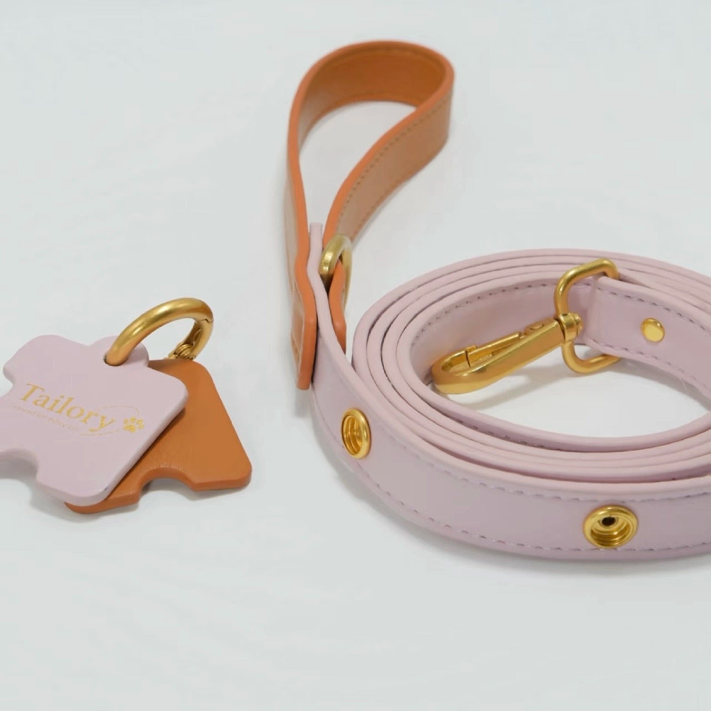 DIY Customizable Accessory Pet Leash