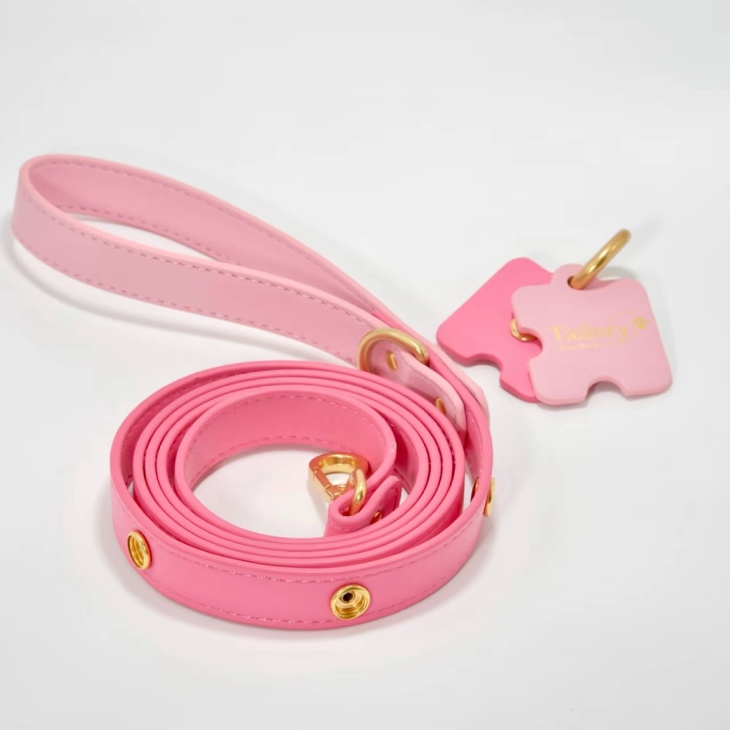 DIY Customizable Accessory Pet Leash