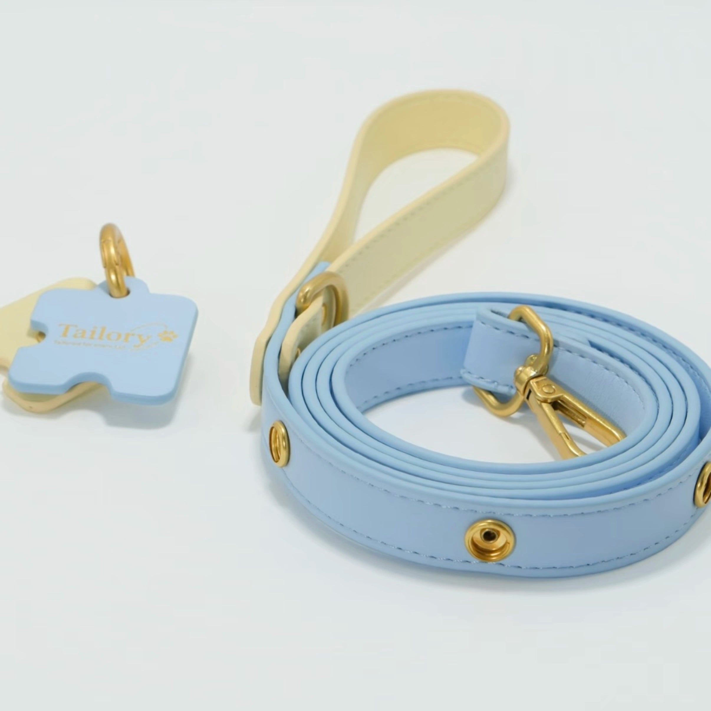 DIY Customizable Accessory Pet Leash