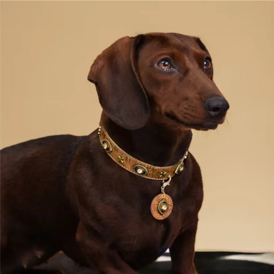 Star-Mark Brown Croc Pet Collar