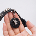 Black Sky & White Star Pet Collar