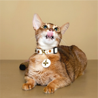 Star-Mark White Croc Pet Collar