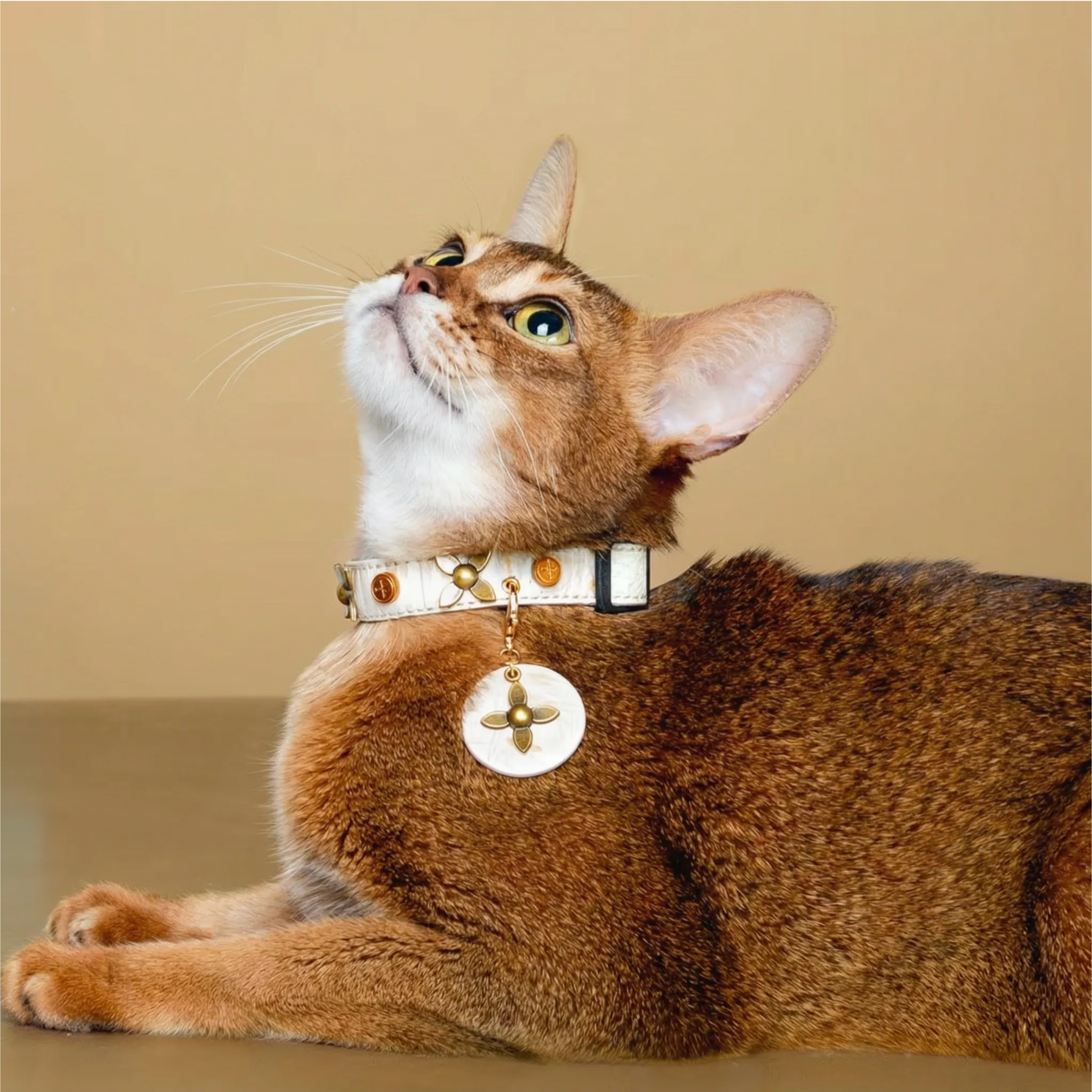 Star-Mark White Croc Pet Collar