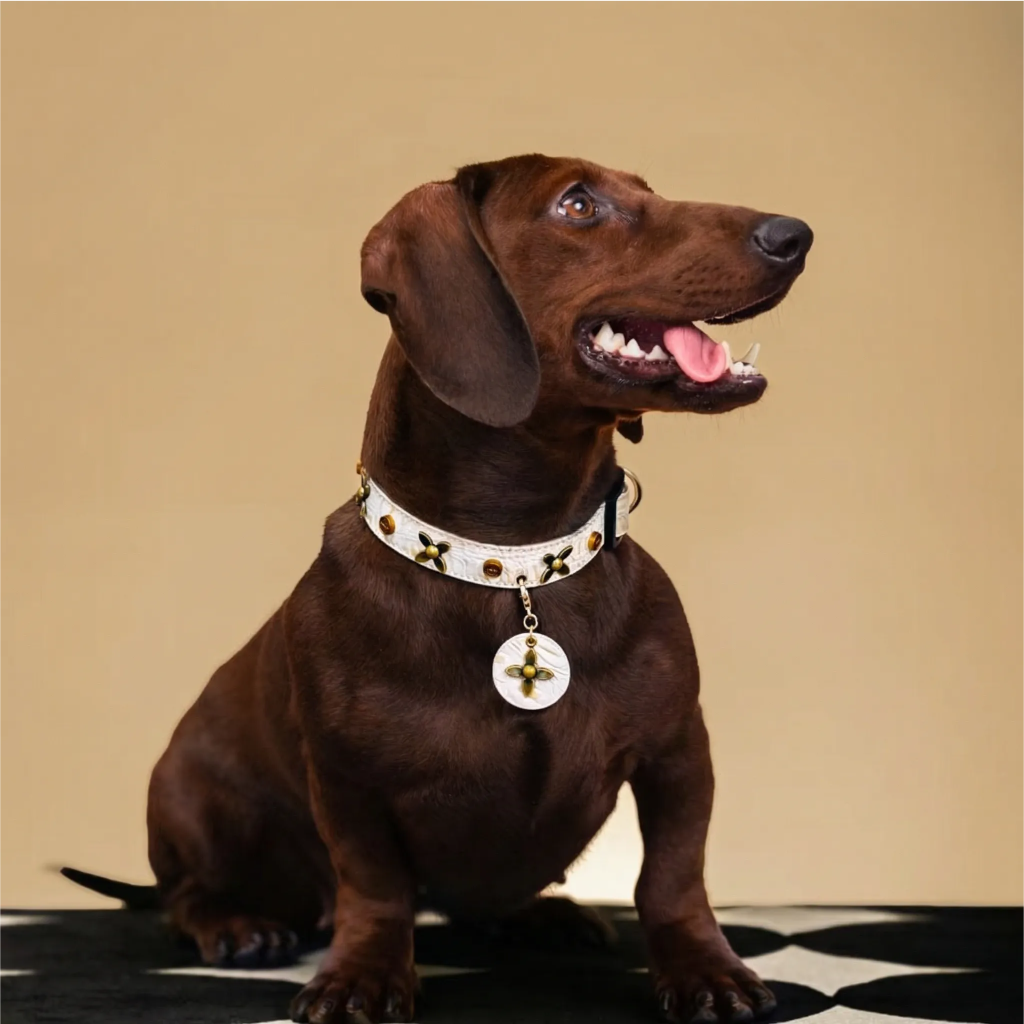 Star-Mark White Croc Pet Collar