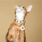 Star-Mark White Croc Pet Collar