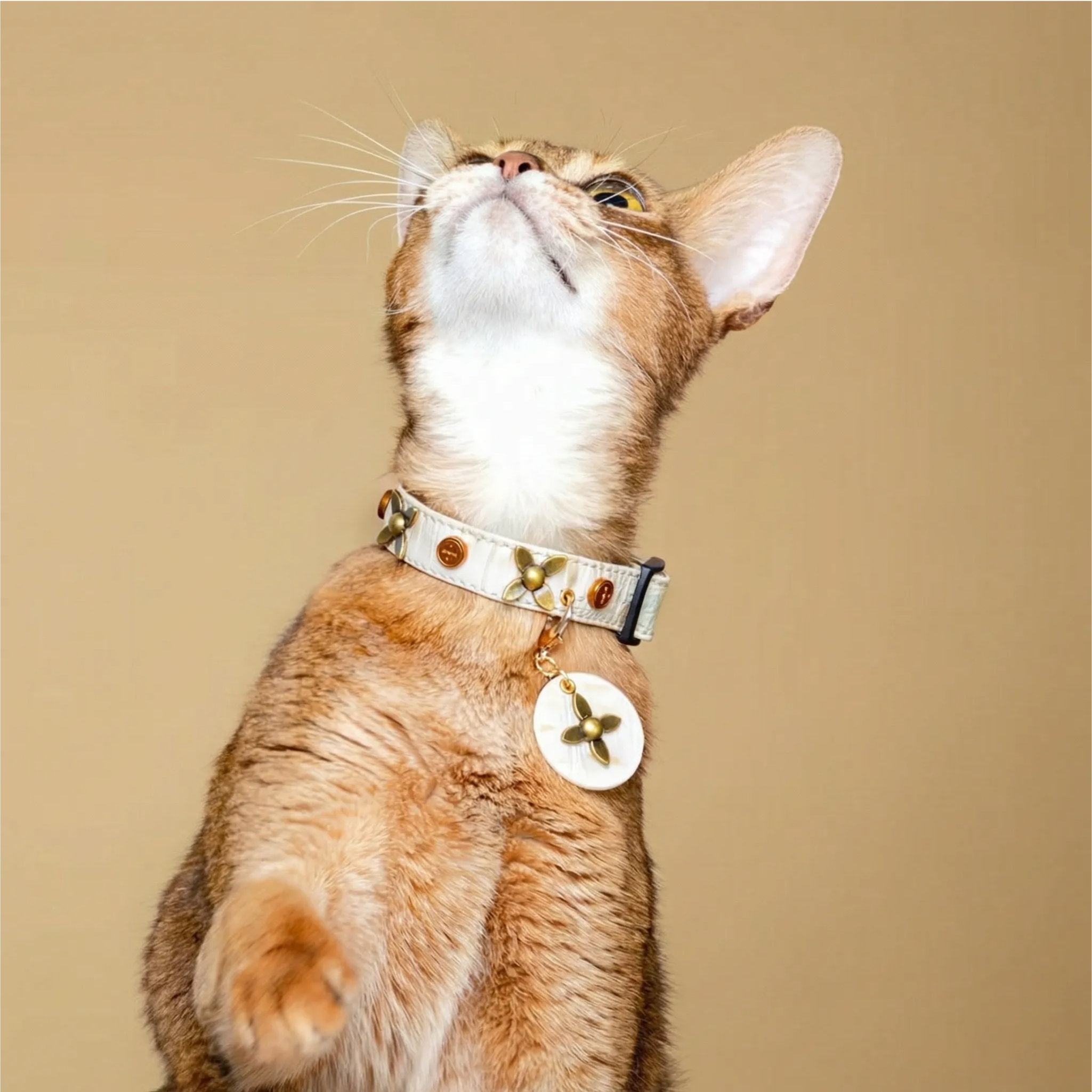 Star-Mark White Croc Pet Collar