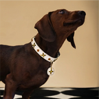 Star-Mark White Croc Pet Collar