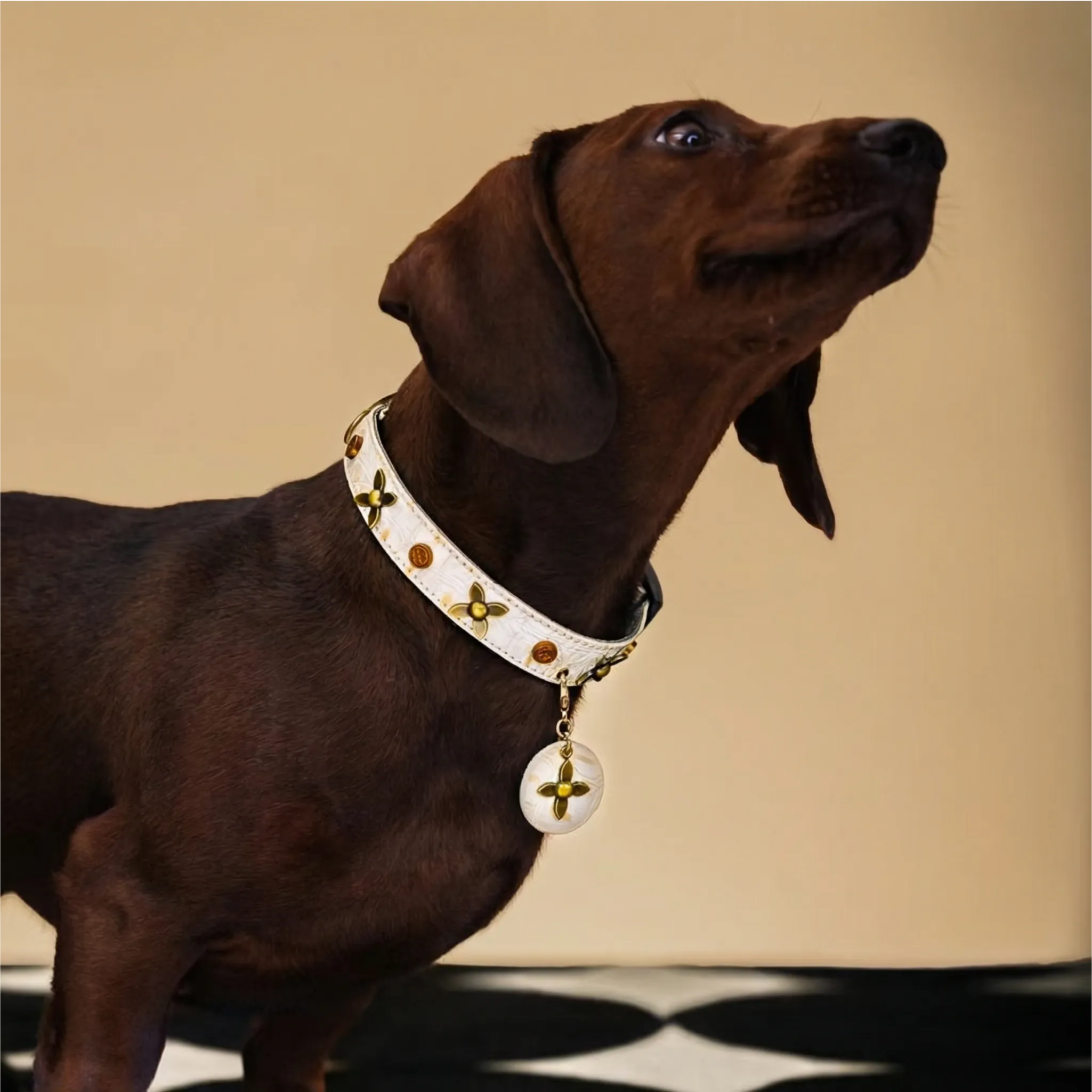 Star-Mark White Croc Pet Collar
