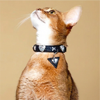 Shimmering Silver & Black Pet Collar