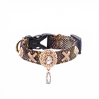 Golden Serpent Kiss Design Pet Collar