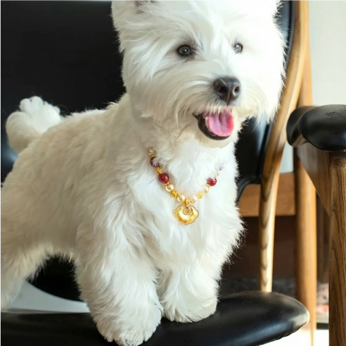 "Auspicious Ruyi" Red Agate & Pearl Pet Necklace