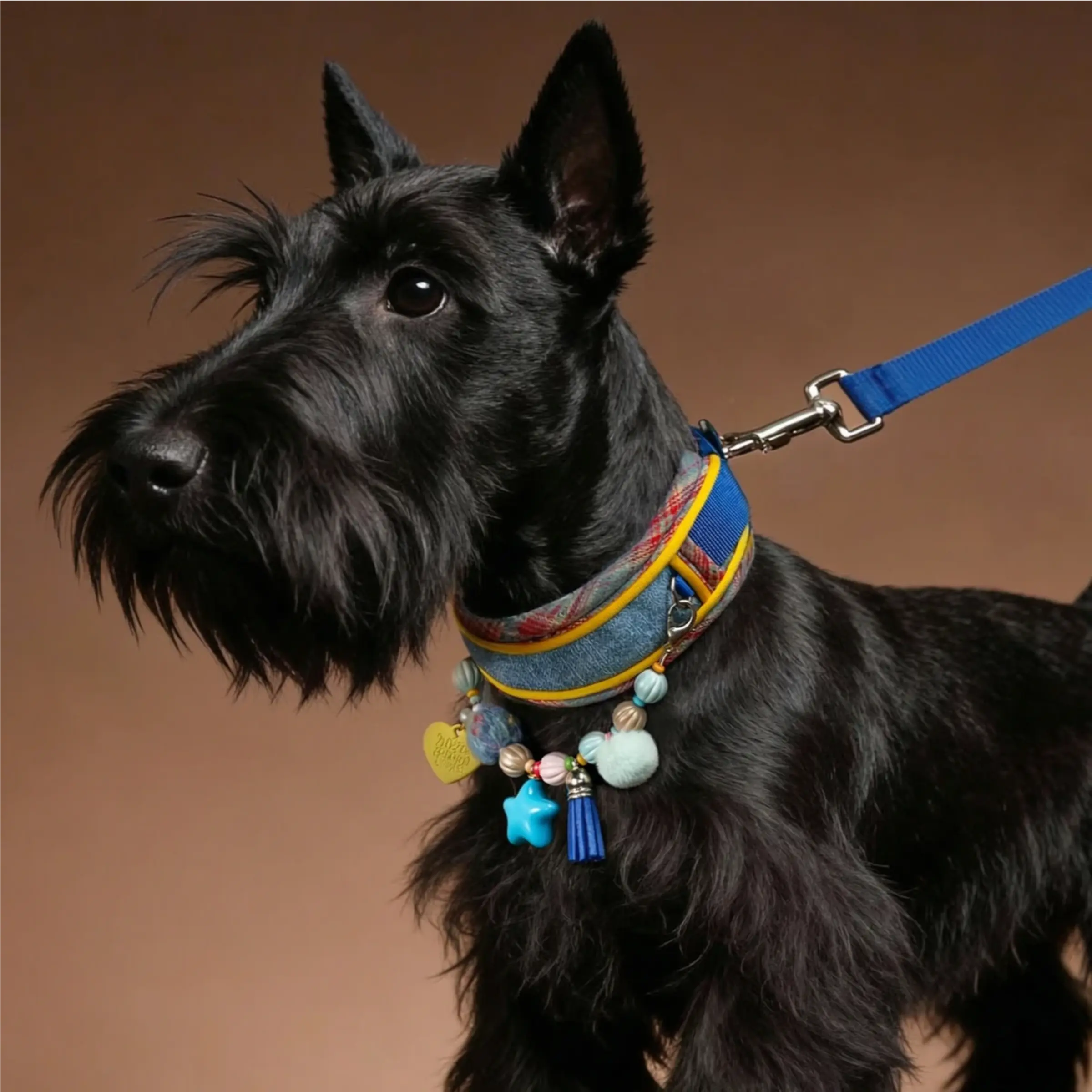 "Candy Pop" Denim & Plaid Pet Collar Set