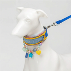 "Candy Pop" Denim & Plaid Pet Collar Set
