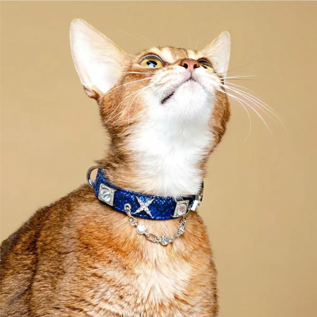 Shimmering Serpent-Pattern Pet Collar