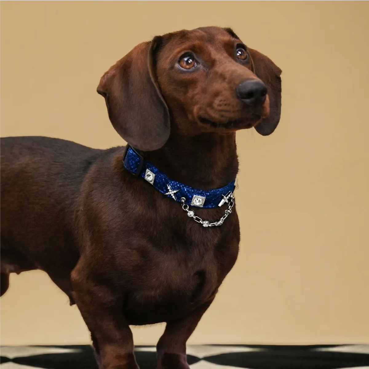 Shimmering Serpent-Pattern Pet Collar