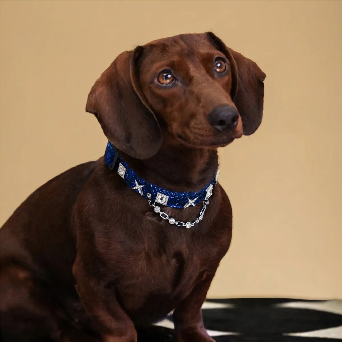 Shimmering Serpent-Pattern Pet Collar