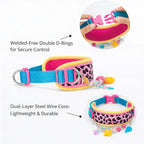 Neon Leopard Pet Collar & Leash Set