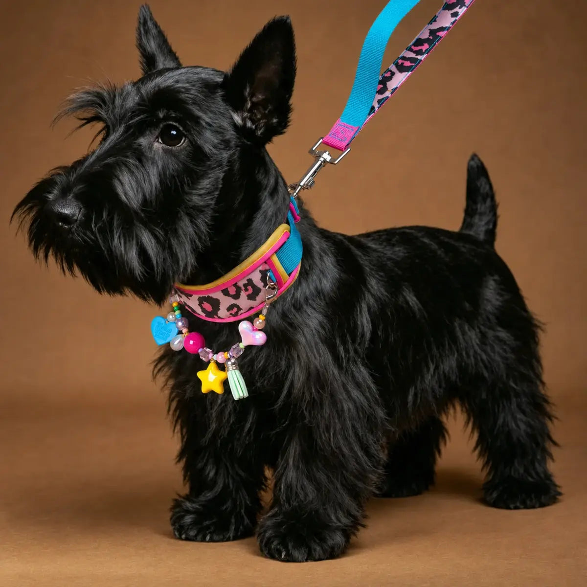 Neon Leopard Pet Collar & Leash Set