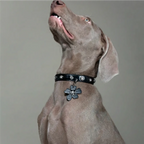 Croc-Embossed Flower Charm Pet Collar