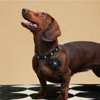 Croc-Embossed Flower Charm Pet Collar