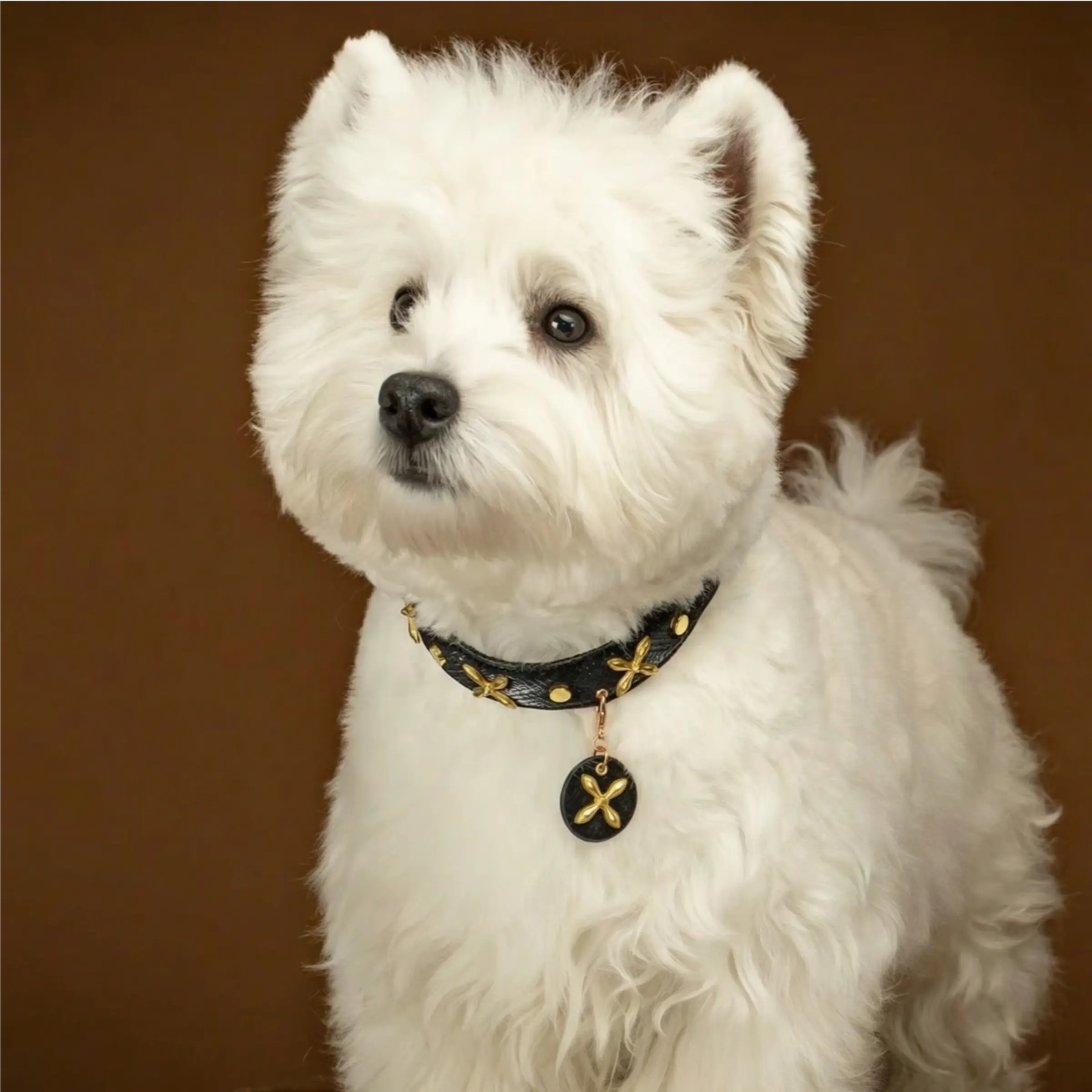 "Midnight Star" Golden Cross Leather Collar