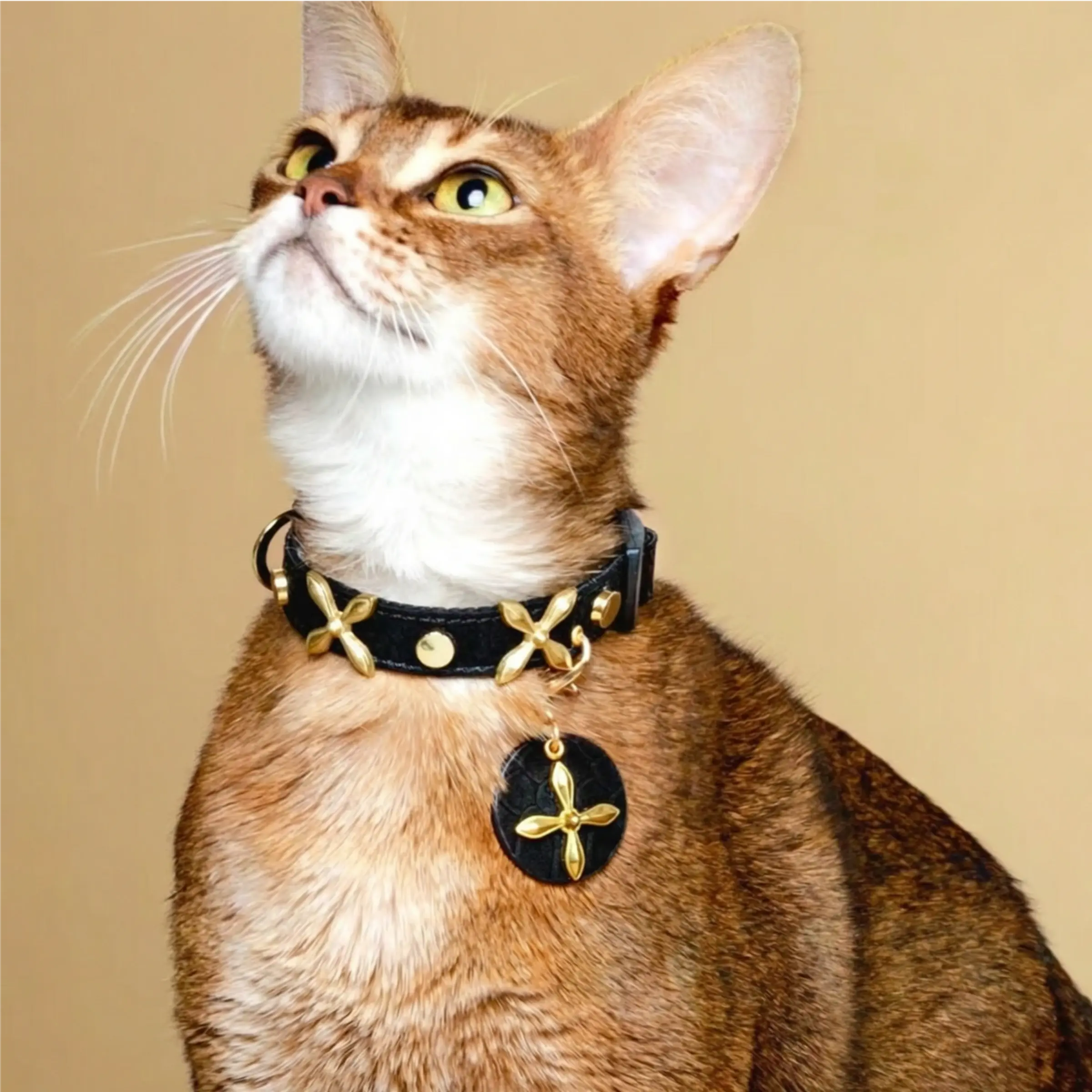 "Midnight Star" Golden Cross Leather Collar