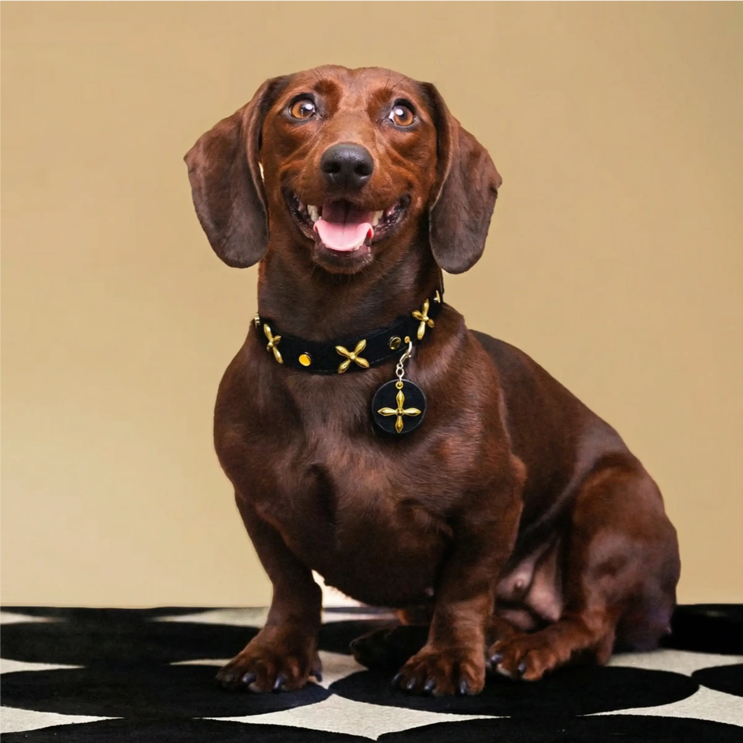 "Midnight Star" Golden Cross Leather Collar