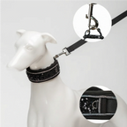 "Obsidian Sparkle" Sequin Collar Set