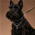 "Obsidian Sparkle" Sequin Collar Set