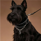 "Obsidian Sparkle" Sequin Collar Set